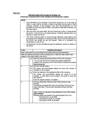 Form 21A Annual Return for Companies Without Share Capital