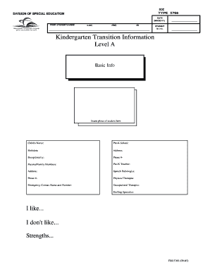 Kindergarten Transition Information Form