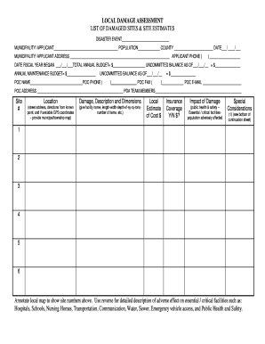 Local Damage Assessment Form