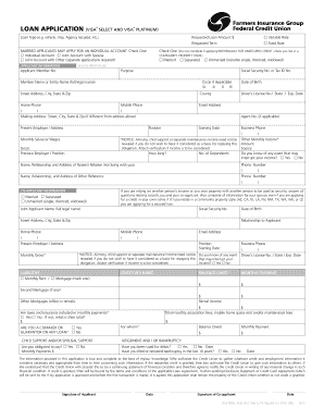 Visa Loan Application Form