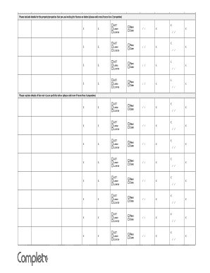 UK Property Finance Application Form