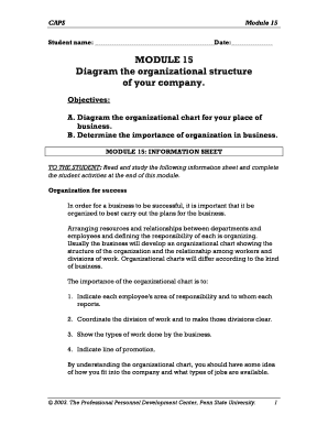 Business Organization Chart Template