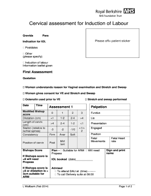 Cervical Assessment for Induction of Labour