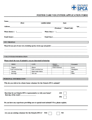 Foster Care Volunteer Application Form