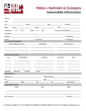 Automobile Insurance Information Form