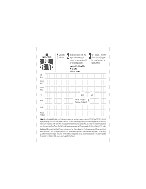 Spektrum 10% Rebate Form