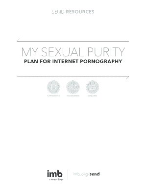 My Sexual Purity Plan for Internet Pornography
