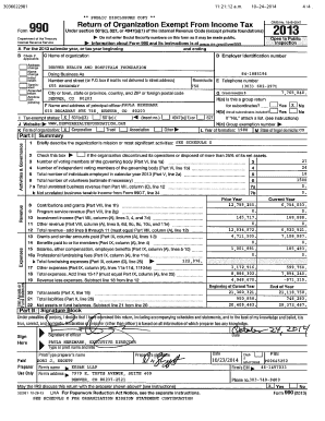 Form 990 2013