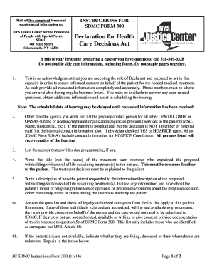 NYS Justice Center SDMC Form 300