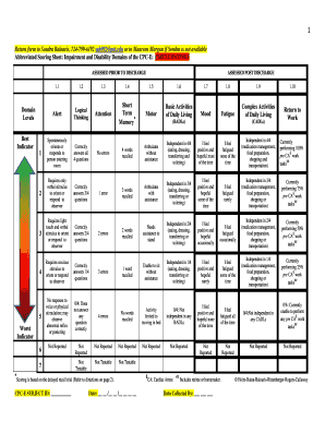 CPC-E Impairment and Disability Assessment Form