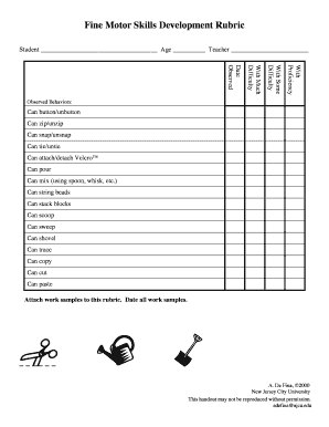 Fine Motor Skills Development Rubric