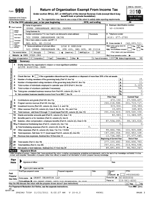 IRS Form 990 2010