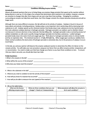 Enzyme Activity Lab Report