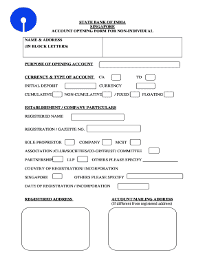 State Bank of India Non-Individual Account Opening Form
