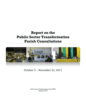 Report on the Public Sector Transformation Parish