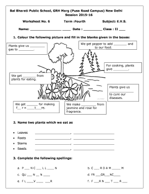 Form preview picture