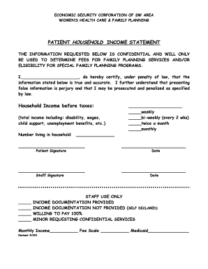 Patient Household Income Statement