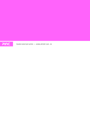 PIONEER INVESTCORP LIMITED ANNUAL REPORT 2007 - 08 - pinc co
