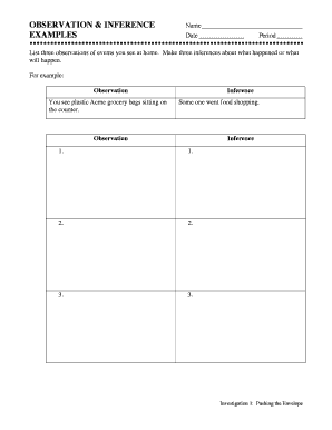 Observation and Inference Worksheet