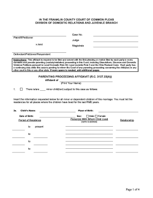 Parenting Proceeding Affidavit