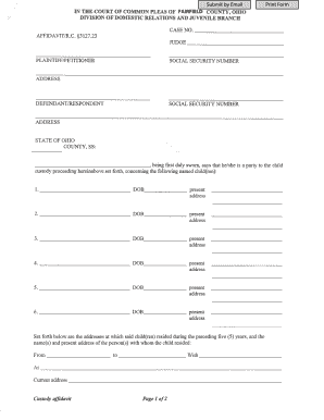 Custody Affidavit Form