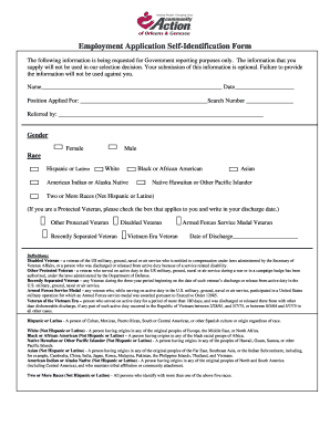 Employment Application Self-Identification Form
