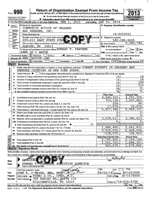 Form 990 2013