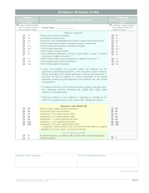 Stomach Cancer Staging Form