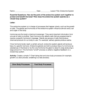 Endocrine System Lesson Worksheet