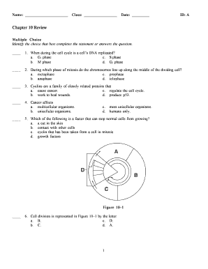 Chapter 10 Review Quiz