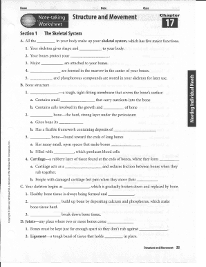 Skeletal and Muscular System Worksheet