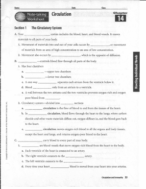 Circulatory System Worksheet