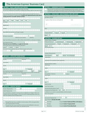 American Express Business Card Application