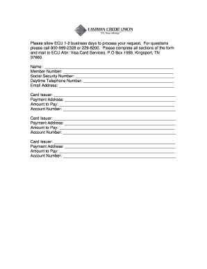 Visa Card Payment Form