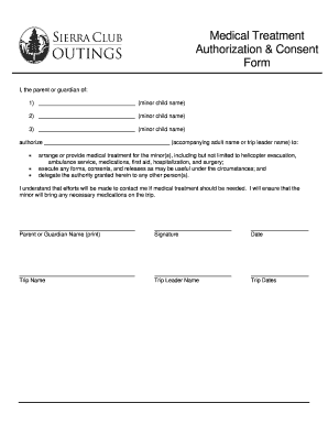 Medical Treatment Authorization Form