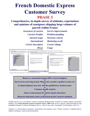 French Domestic Express Customer Survey - Triangle - EUcom