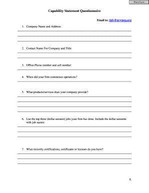 Capability Statement Questionnaire