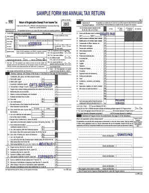 Form 990 Annual Tax Return