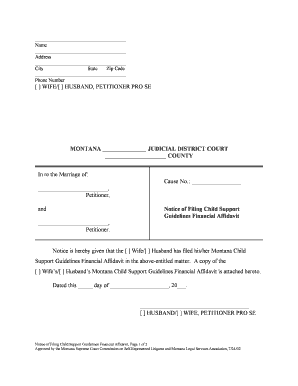 Montana Child Support Guidelines Financial Affidavit