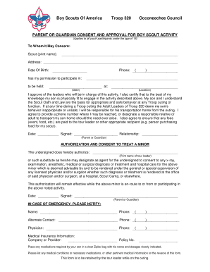 Boy Scouts Activity Consent Form