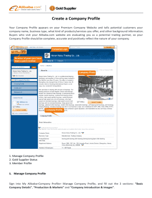 Alibaba Company Profile Template