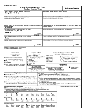 US Bankruptcy Court Voluntary Petition