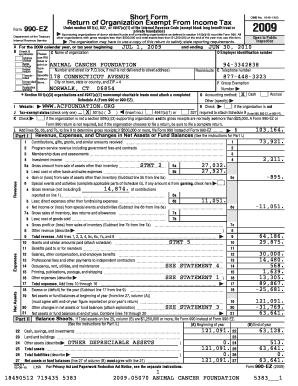 Form 990-EZ 2009