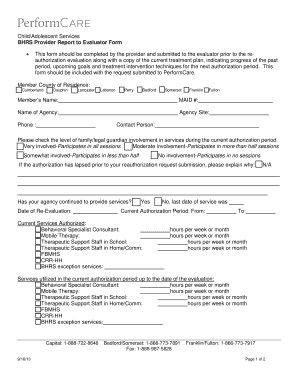 BHRS Provider Report to Evaluator Form