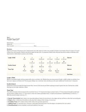 PUSH Tool 3.0 for Pressure Ulcer Healing