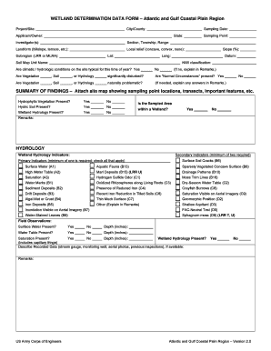 Wetland Determination Data Form