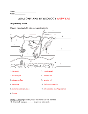 Anatomy and Physiology Quiz