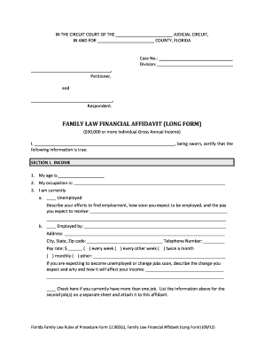 Florida Family Law Financial Affidavit