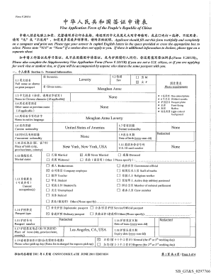 China Visa Application Form