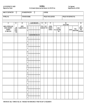 US Department of Labor Payroll Form